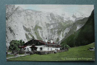 AK Königsee / 1910-1930 / die Saletalpe / Kühe / Strasse